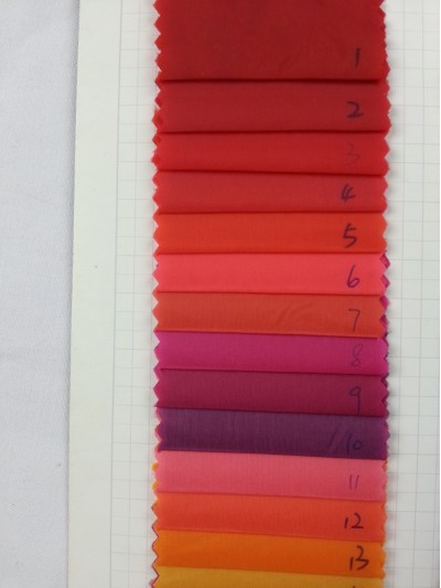 GZ-YISG  15D尼龍 2013 後面照